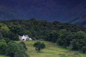 a house in the middle of a field with trees at Wood House Cottage in Cockermouth