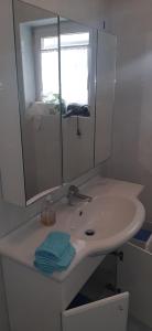 La salle de bains est pourvue d'un lavabo blanc et d'un miroir. dans l'établissement casa Rosalba, à Strigno