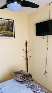 TV a/nebo společenská místnost v ubytování Departamento en Tequila Maria Concepcion