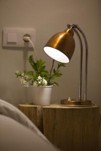 eine Lampe auf einem Holztisch mit einer Topfpflanze in der Unterkunft Apartamento Tarazona Centro in Tarazona