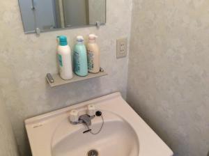 - une salle de bains avec lavabo et 3 bouteilles sur une étagère dans l'établissement Homestay Dream - Vacation STAY 3910, à Minami Uonuma