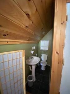 Koupelna v ubytování Mountain Adventure Ski Chalet near Gore + 22 fotografií