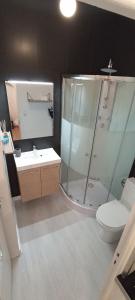 La salle de bains est pourvue d'une douche, de toilettes et d'un lavabo. dans l'établissement Le Studio 64, à Rochefort