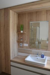 a bathroom with a sink and a mirror at Visit Klinovec in Loučná pod Klínovcem