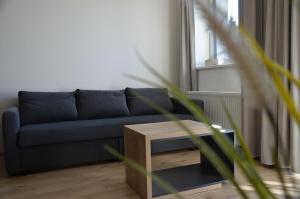 Posezení v ubytování Visit sauna Klinovec