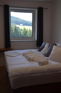 Postel nebo postele na pokoji v ubytování Visit sauna Klinovec