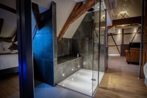 コルマールにあるSERENITY Colmar - Gîtes de Prestige 4 et 5 étoiles - 2, 4 et 6 personnes- Centre Historiqueの部屋の真ん中にガラス張りのシャワーが備わります。