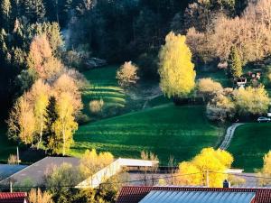 an aerial view of a yard with trees and grass at Bambus Wohnung in Murrhardt