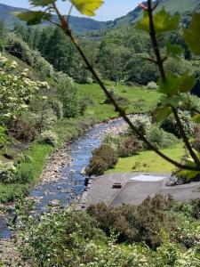 Cosy, dog friendly house on the fringe of the Brecon Beacons في Tredegar: نهر في وسط ميدان فيه اشجار