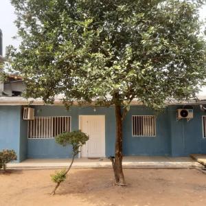 un bâtiment bleu avec un arbre devant lui dans l'établissement Color house meublée sécurisée,100m Maképé palace, à Douala