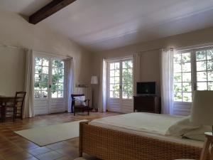 Televisyen dan/atau pusat hiburan di Maisonnette dans le Luberon - Bois Romay