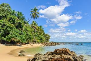 a beach with palm trees and the ocean at Casa Vista al Mar in Morro de São Paulo
