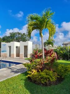 uma palmeira ao lado de uma piscina em Fabulous Apartment HOEStel Lucerna! em Playa del Carmen