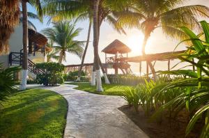 a path leading to a resort with palm trees at Desire Riviera Maya Resort All Inclusive - Couples Only in Puerto Morelos