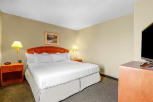 Voodi või voodid majutusasutuse Days Inn by Wyndham Red Deer toas