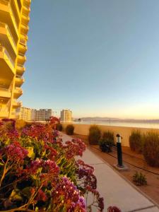 a sidewalk next to a beach with flowers at Departamentos Laguna del Mar in La Serena +10 photos