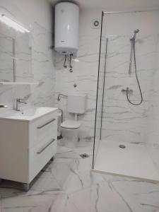 y baño blanco con ducha y aseo. en Apartment Brle, en Poreč