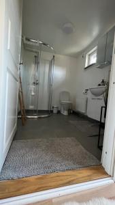 a bathroom with a shower and a toilet and a sink at Stugor - Lgh sodra Oland in Mörbylånga
