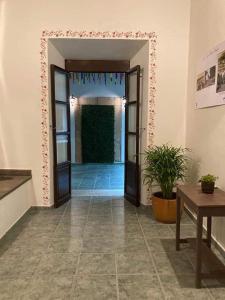 un corridoio con porte e una pianta in una stanza di Mesón del Alcalde a Lagos de Moreno