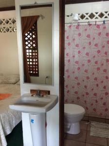 a bathroom with a sink and a toilet at Cabinas Balcon del Mar Tortuguero in Tortuguero
