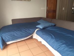 a bed with two blue pillows on a couch at Burban Bliss in Johannesburg