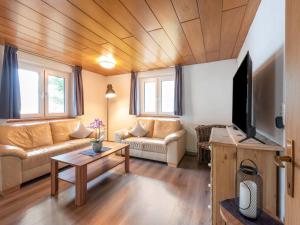 TV a/nebo společenská místnost v ubytování Apartment in Sankt Gallenkirch near Ski Lift