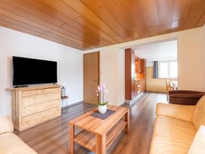 TV a/nebo společenská místnost v ubytování Apartment in Sankt Gallenkirch near Ski Lift