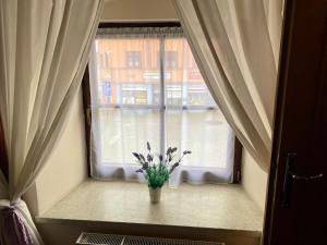 Fotografia z galérie ubytovania Zámecký Hotel Zlatý Orel v destinácii Hranice