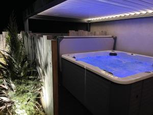 a jacuzzi tub in a room with a plant at Logis Au Vieux Morvan "fait peau neuve" in Château-Chinon