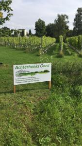 a sign in the middle of a field of vines at Achterhoeks Goed, Bed & Breakfast in Vragender in Vragender
