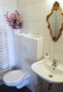 a bathroom with a toilet and a sink and a mirror at Pension Stoi budget guesthouse in Innsbruck