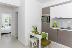 Kuchyň nebo kuchyňský kout v ubytování Apartments Posta