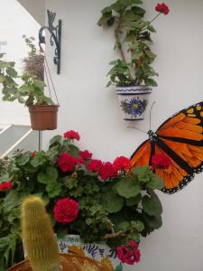 Fotografie z fotogalerie ubytování Pensión España v destinaci Cádiz