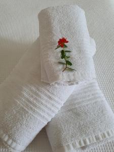 una flor roja sentada encima de una servilleta blanca en Ohana suíte Abraão - Ilha Grande, en Abraão