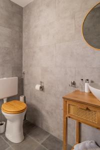 een badkamer met een toilet, een wastafel en een spiegel bij B&B De Buren in Gasselte