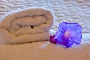 a purple butterfly sitting on top of a towel at Τhe Hidden Garden in Corfu Town