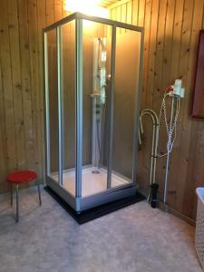 a shower with a glass enclosure in a room at Berghaus Iffigenalp in Lenk