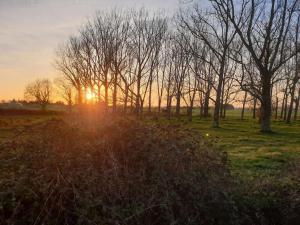 a sunset in a field with trees and grass at The Old Dairy Accommodation in Tillingham