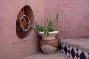 ダハブにあるアルフ レイラ ブティックホテルの塀の横に座る花瓶の植物