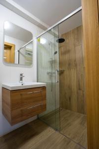 La salle de bains est pourvue d'un lavabo et d'une douche en verre. dans l'établissement Krościenko Grywałd Czorsztyn Apartamenty Frysiówka, à Grywałd
