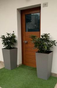 two potted plants sitting in front of a door at Appartamento Carducci in Pieve di Cadore