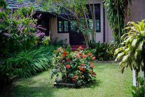 Zahrada ubytování Bandarawela Hotel