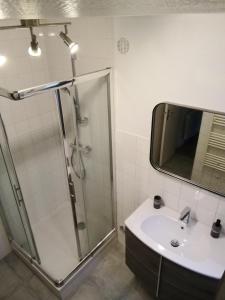 bagno con doccia, lavandino e specchio di Chez VICTOR le pêcheur a Locquémeau