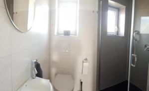 a bathroom with a toilet and a shower with a mirror at Haus am Seidelberg in Dürrhennersdorf