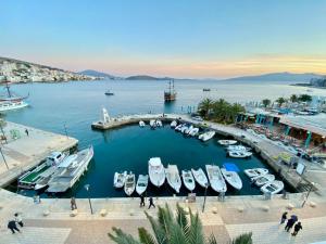 a group of boats are docked in a marina at Sun N Blue Hotel in Sarandë