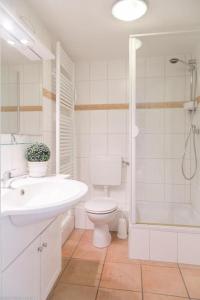 een badkamer met een wastafel, een toilet en een douche bij Bom5_1 in Westerland