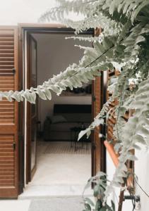 vista su un soggiorno con pianta di La Casa Di Maya a Marsala