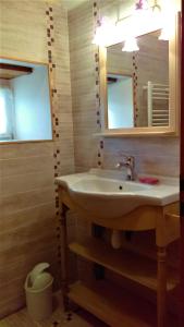 ein Bad mit einem Waschbecken und einem Spiegel in der Unterkunft Repos et détente au cœur des richesses du Poitou in Vaux-en Couhé