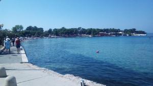 a large body of water with people swimming in it at Apartments Mirjana in Petrcane