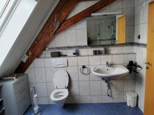 een badkamer met een toilet en een wastafel bij Schatz-Insel in Loßburg